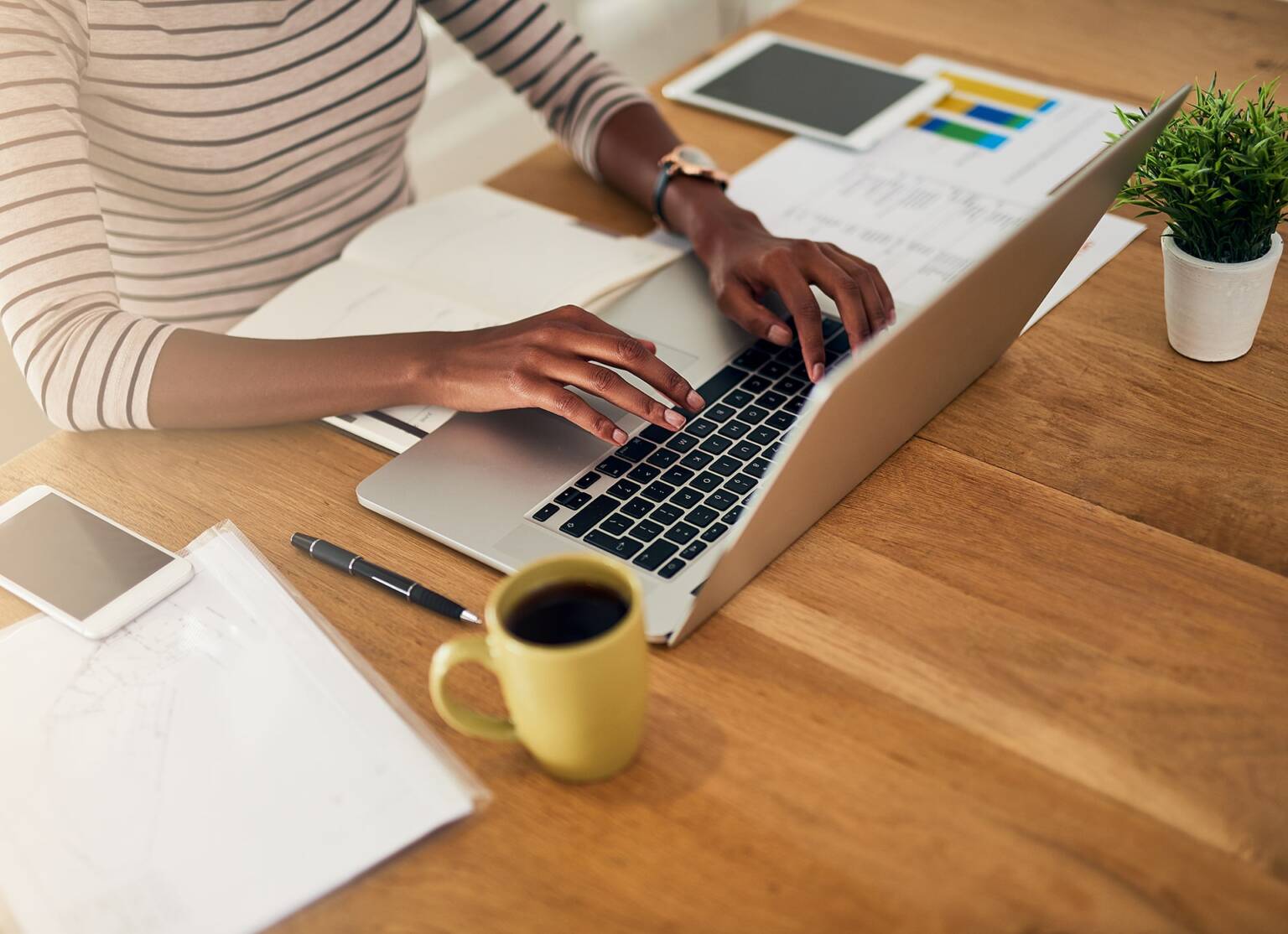 Best Freelance Web Developer in Navi Mumbai